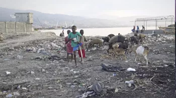 LES ENFANTS DU PORT