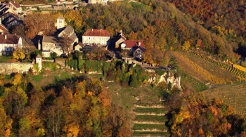 DES RACINES & DES AILES - Le vignoble de Château-Chalon