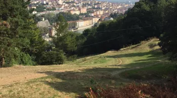 Vue de lyon
