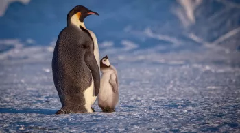 GRANDEURS NATURE