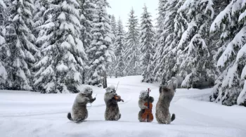 Marmottes