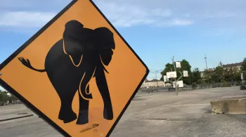 Panneau Eléphant - © TGA