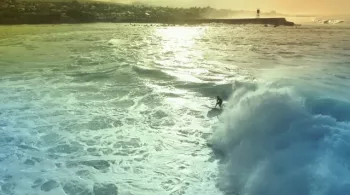 SURF QUI PEUT ! 