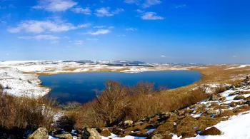 Aubrac