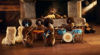 Marmottes