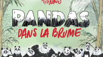 Pandas dans la brume