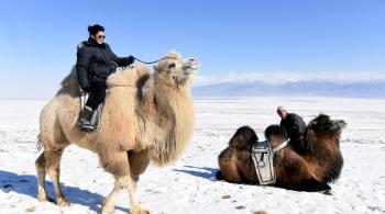 Rendez vous en terre inconnue - Mélanie DOUTEY et Frédéric LOPEZ en Mongolie