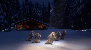 Marmottes