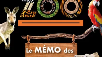 Le mémo des animaux - Une saison au zoo
