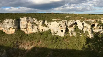 minervois