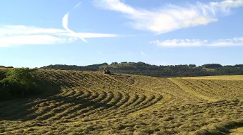 Ils font du foin
