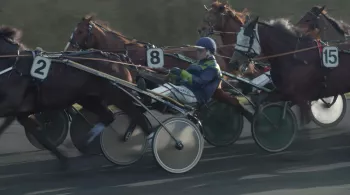 Course à Vincennes