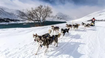 Spéciale La Grande Odyssée