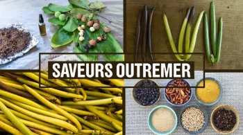SAVEURS OUTREMER Les routes Gourmandes - Nouvelle Calédonie