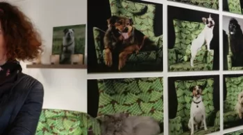 MS Lacarrau et les animaux