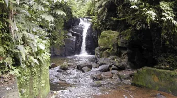 Parc Naturel de Martinique