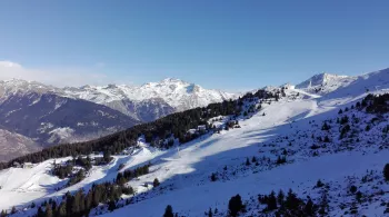 ECHAPPEES BELLES