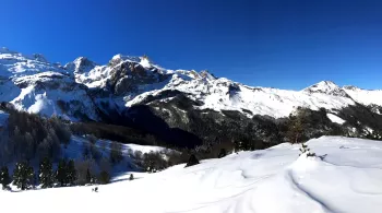 CSO Béarn