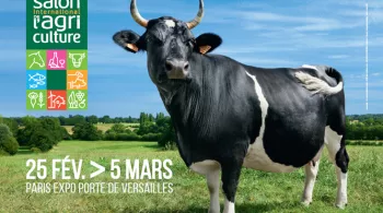 Affiche Sia 2017