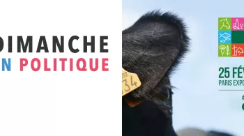 Dimanche en politique salon de l'Agriculture