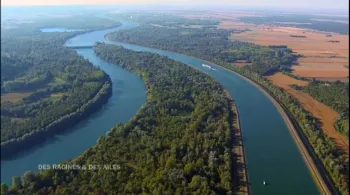 rhin