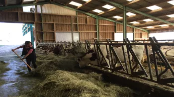 La vie à la campagne