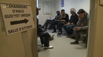 APRES LA JUNGLE