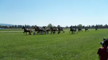 hippodrome