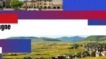 Le 19/20 en campagne en direct de Sainpuits dans l'Yonne