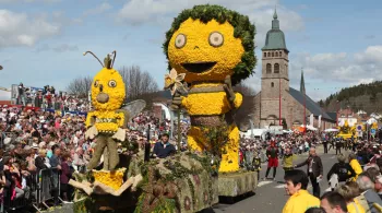 La fête des jonquilles  © Société des fêtes