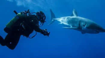 MISSION MONSTRES MARINS