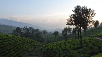 INDE SAUVAGE