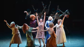 Follies