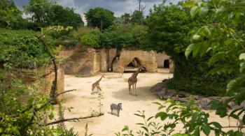 Zoo Doué-la-Fontaine