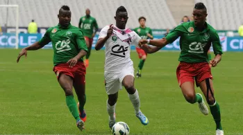 COUPE GAMBARDELLA