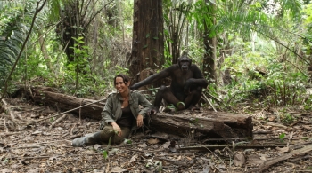 Retrouvailles 20 ans après entre une mère adoptive et le chimpanzé qu'elle a élevé