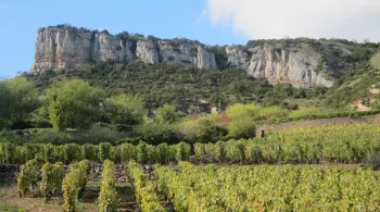 La roche de Solutré 