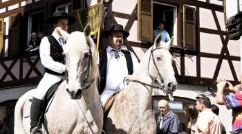 PCPL Wissembourg, les chevaux à la fête - CREDIT FTV