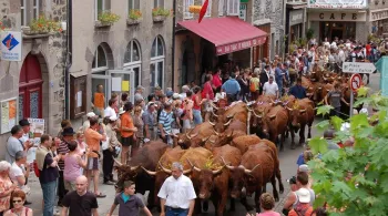 Emission spéciale Fête de l'estive