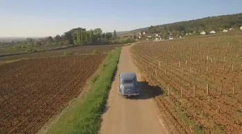 Route des Grands Crus