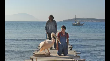 Nicostratos le pelican