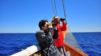 Le chant des sirènes en Méditerranée