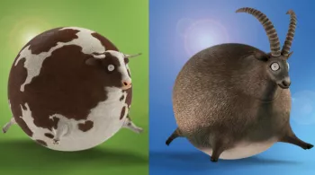 Animaux habillage 