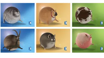 Animaux gonflés