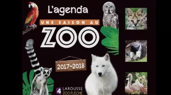 zoo2