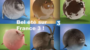 été