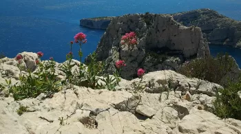 calanques