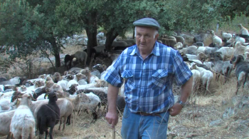 Les bergers de Méditerranée en Sardaigne - Tempi Fà Tempi d'Oghje