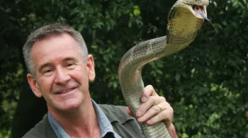 Les 10 serpents les plus dangereux