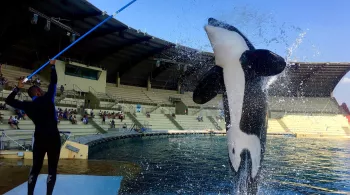 marineland